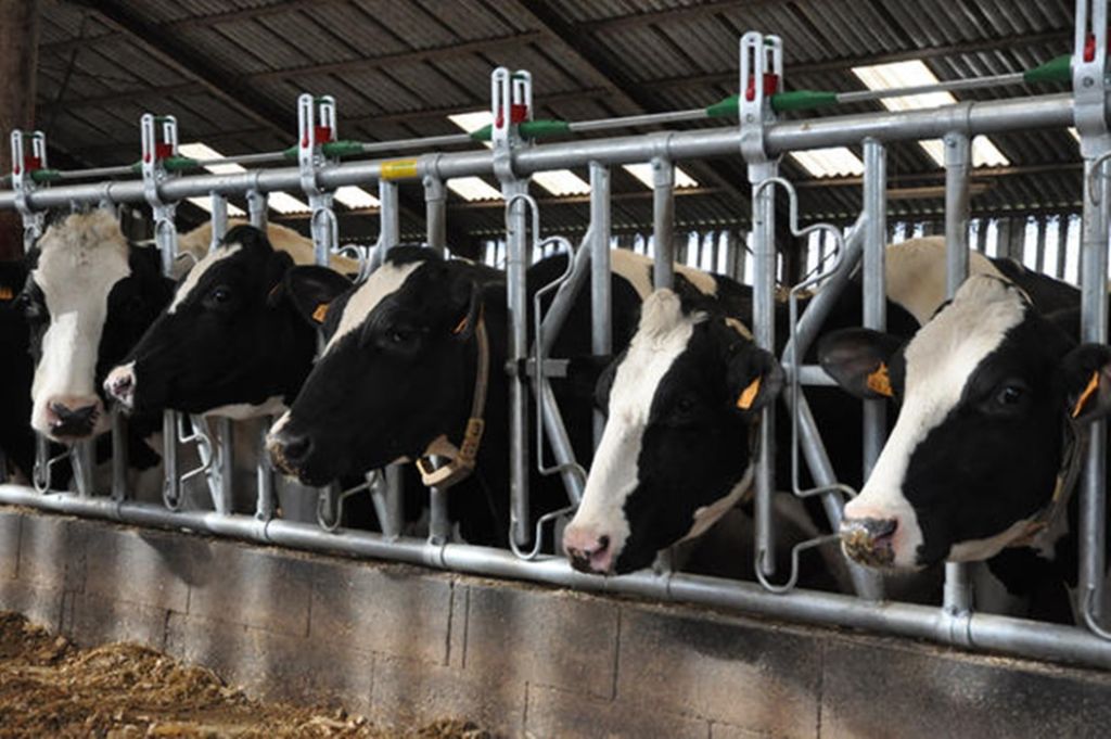 Fangfront fra Jourdain