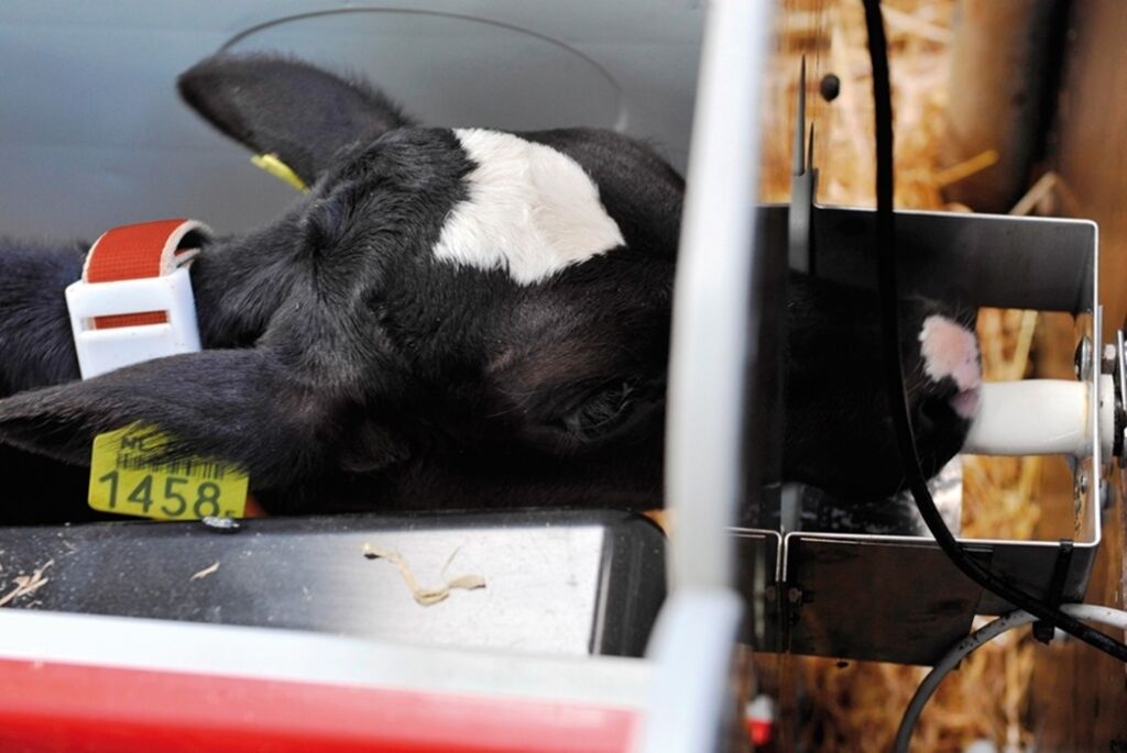 Lely Calm kalvedrikksautomat