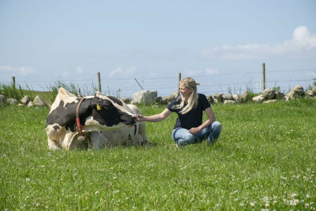 Hanne Helland Varhaug