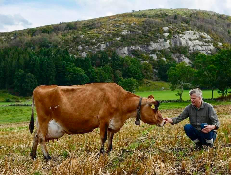 Bjørn Lende og Jerseyfe
