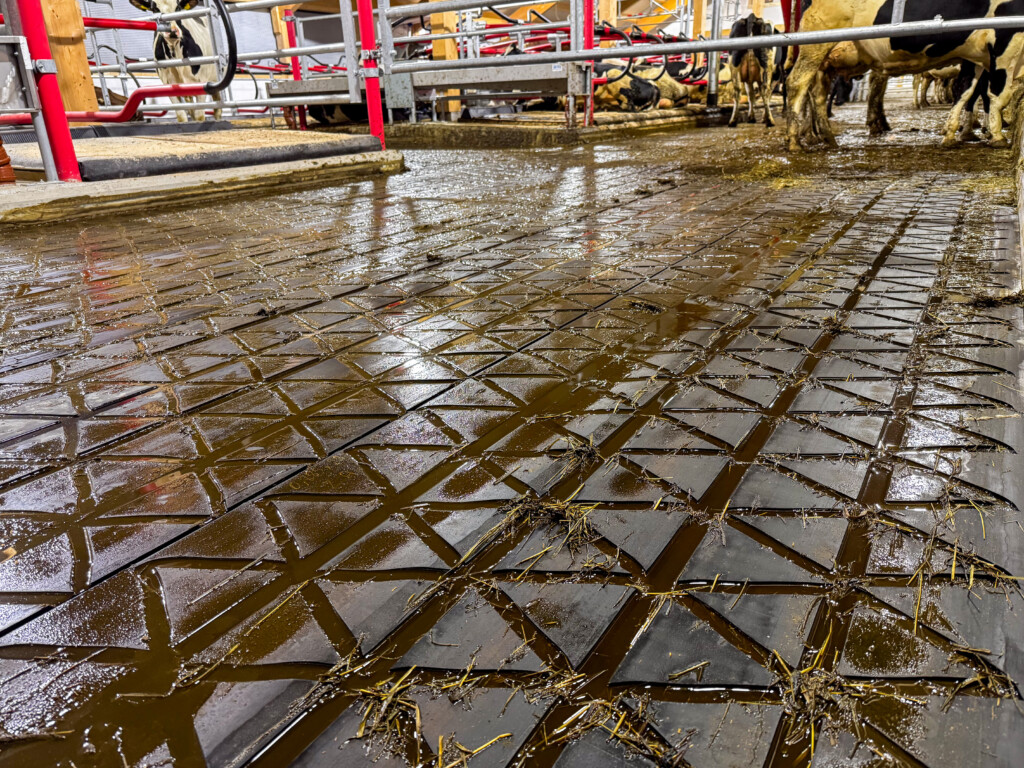 ZigZag gummimatte hos Magne Landrø og May Rita Olsen. Lensvik, 2025