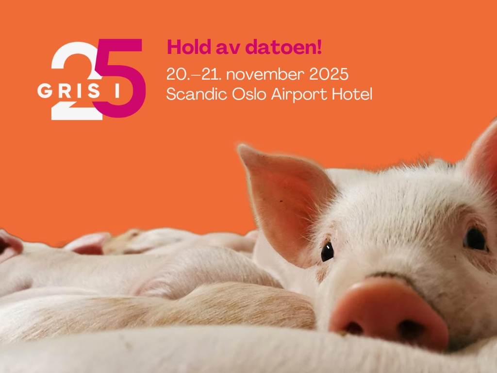 Gris i 25 teaser plakat