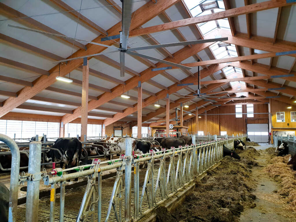 Helikoptervifter hos melkebonde Lars Lundem