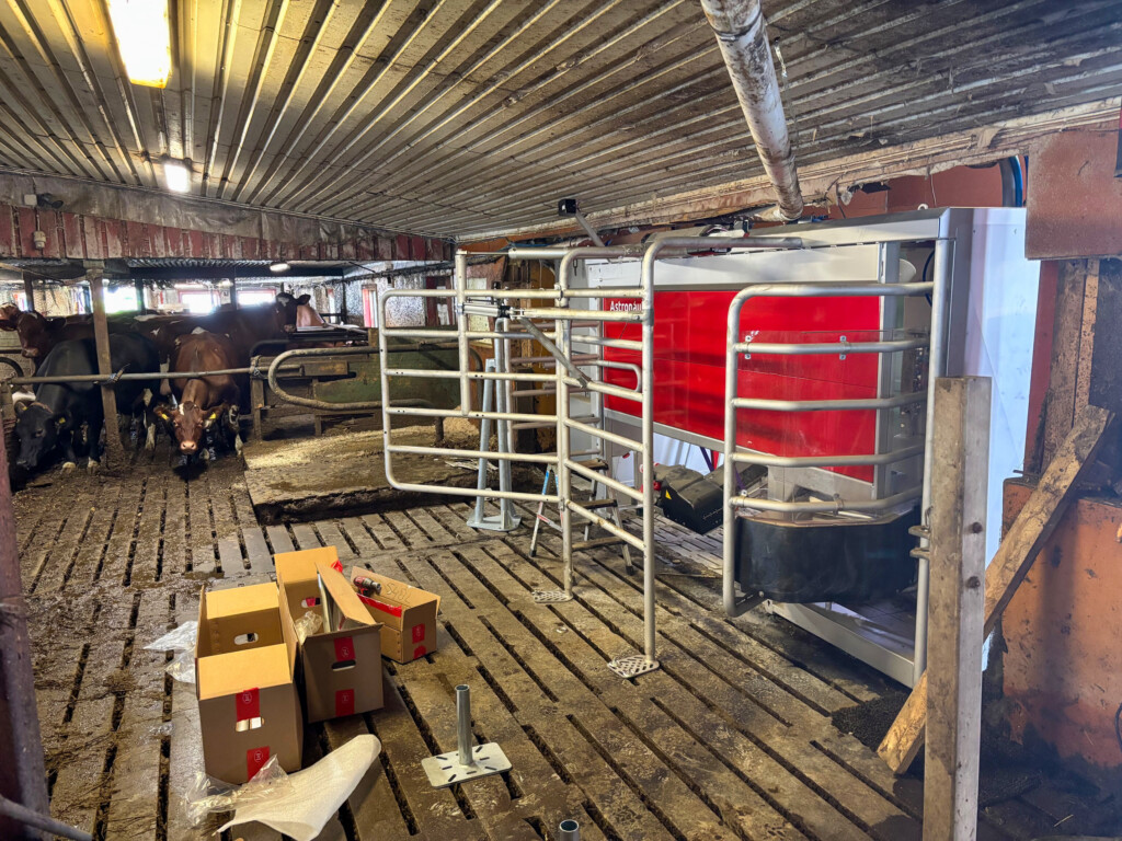 Arne Gunstad på Kolbu, 2025