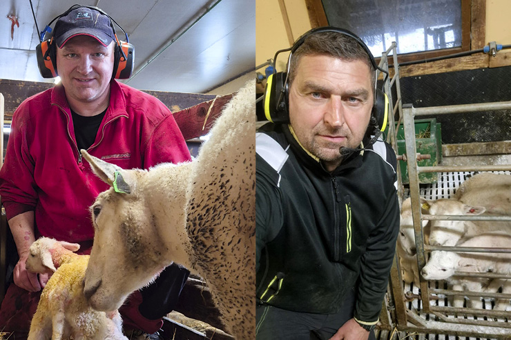 Kjetil Lien og Anders Konglevoll under lamming