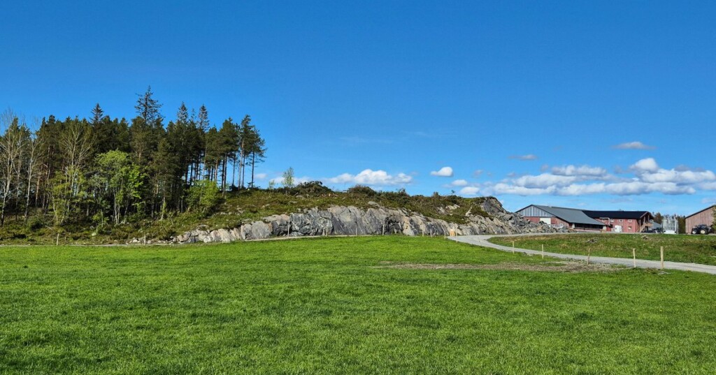 Tomta før byggingen av det nye grisehuset. Undervisningsfjøset for storfe og sau i bakgrunnen som Fjøssystemer Gruppen bygget i 2014.