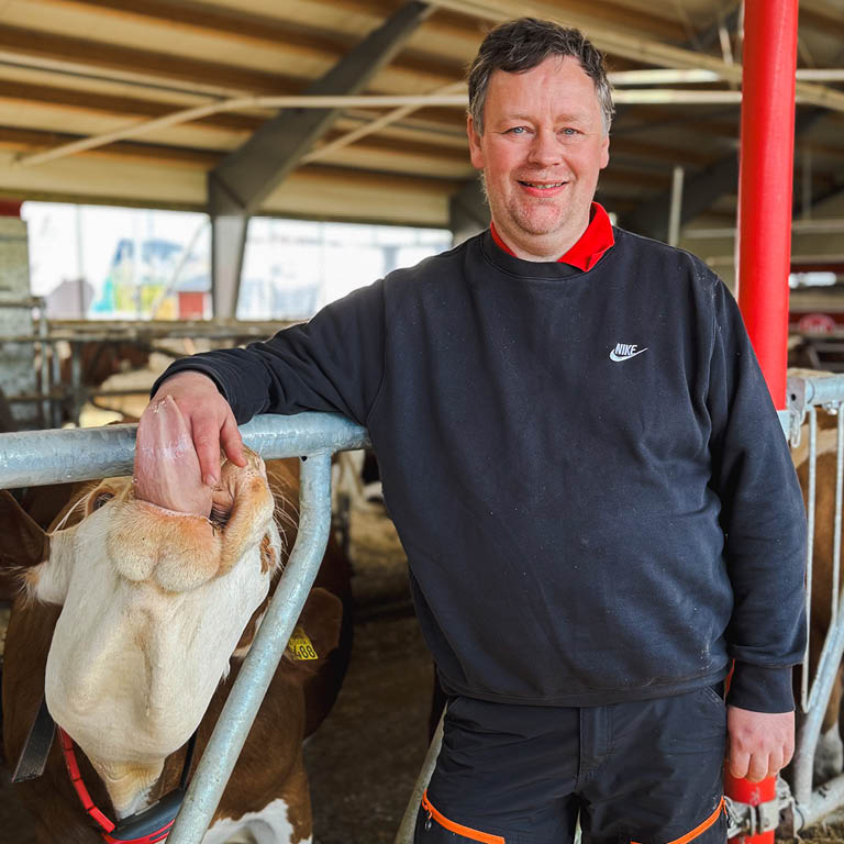 Melkebonde Arne-Morten Husand i det nye fjøset sitt, sammen med ei ku som sleiker hånda hans. Sømna, 2025