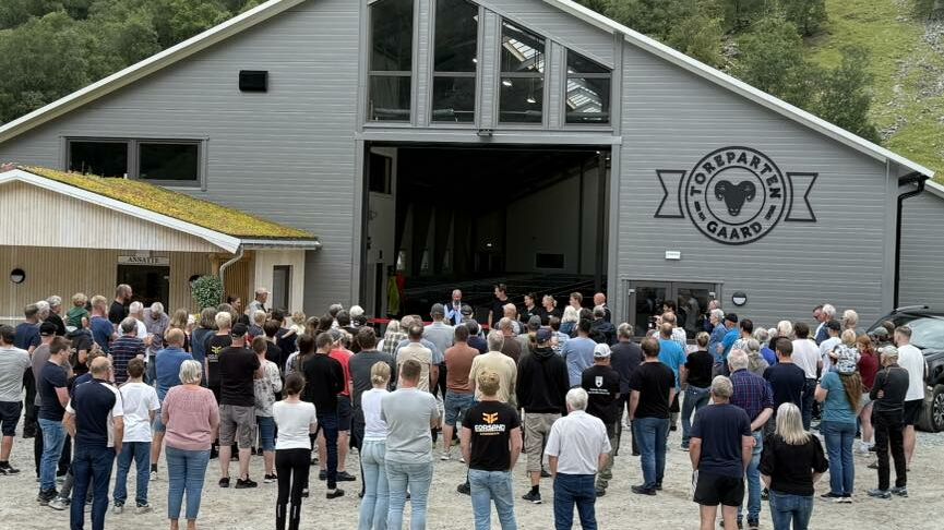 Åpent fjøs hos Toreparten Gaard, 2025