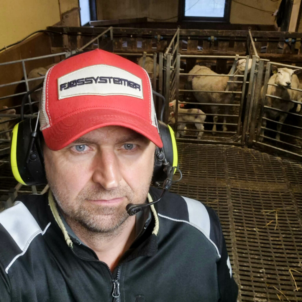 Anders Konglevoll, Fjøssystemers fagsjef for sau, i storbingefjøset sitt, 2025