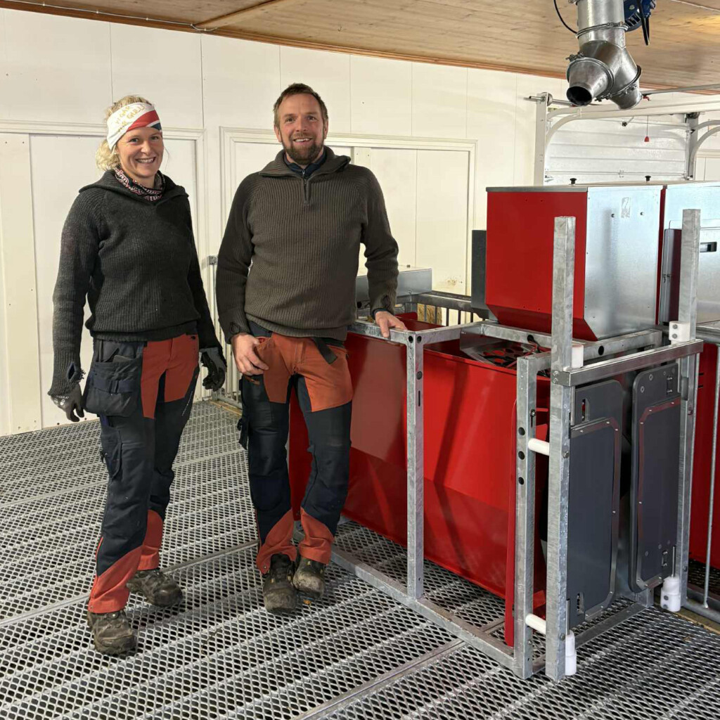 Storbingeløsning med kraftfôrstasjon hos Anette og Fredrik Kirkelund i Hernes, 2025