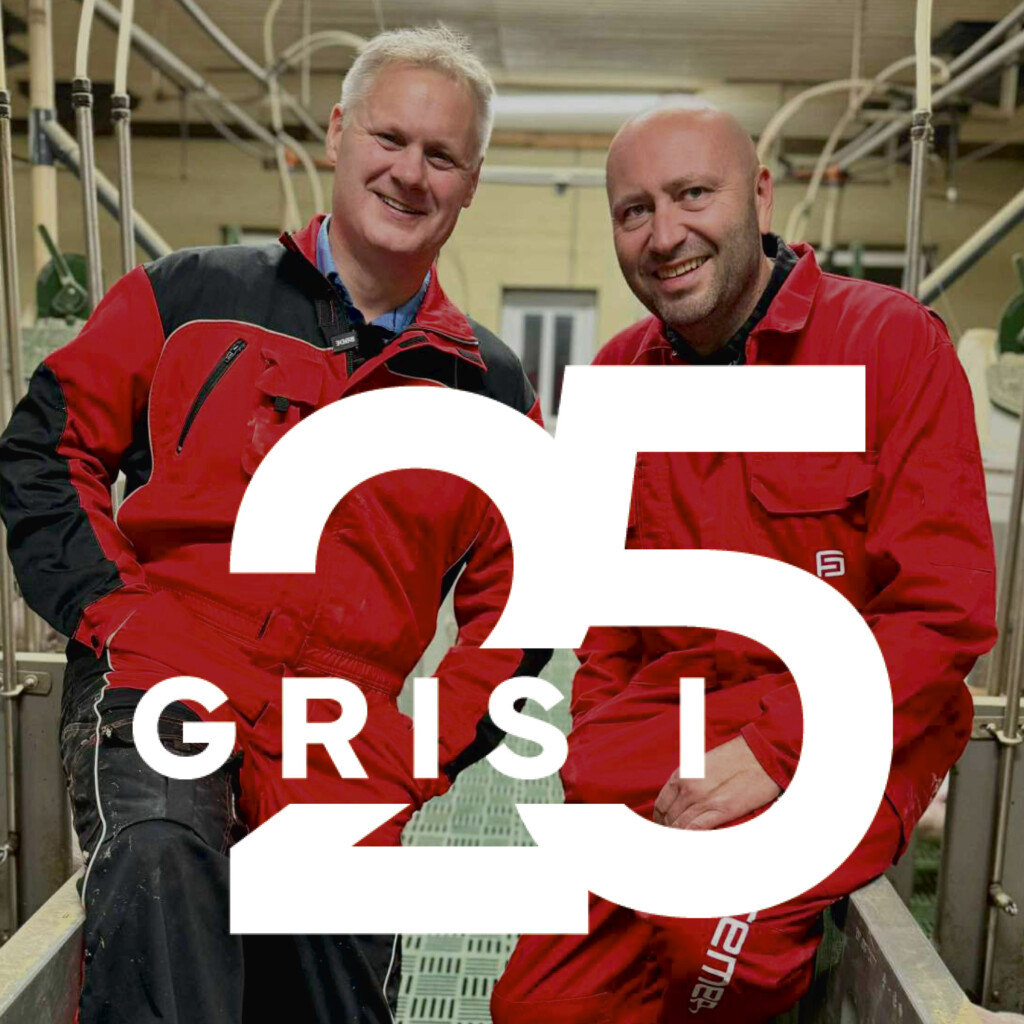 Grisepodden: Nils Terkelsen og Kjetil Olsen, Gris i 25