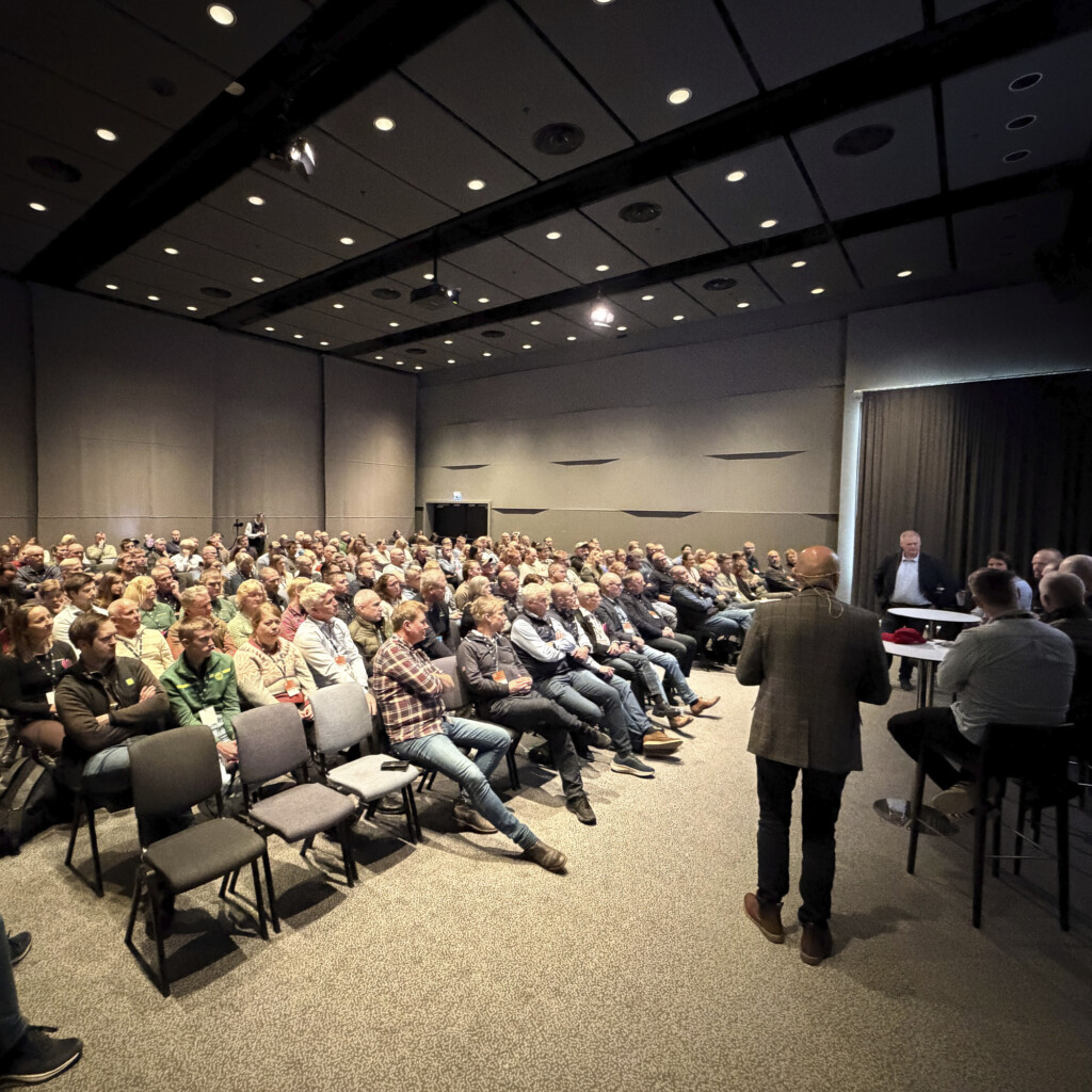 Grisepodden "Gris i 25"