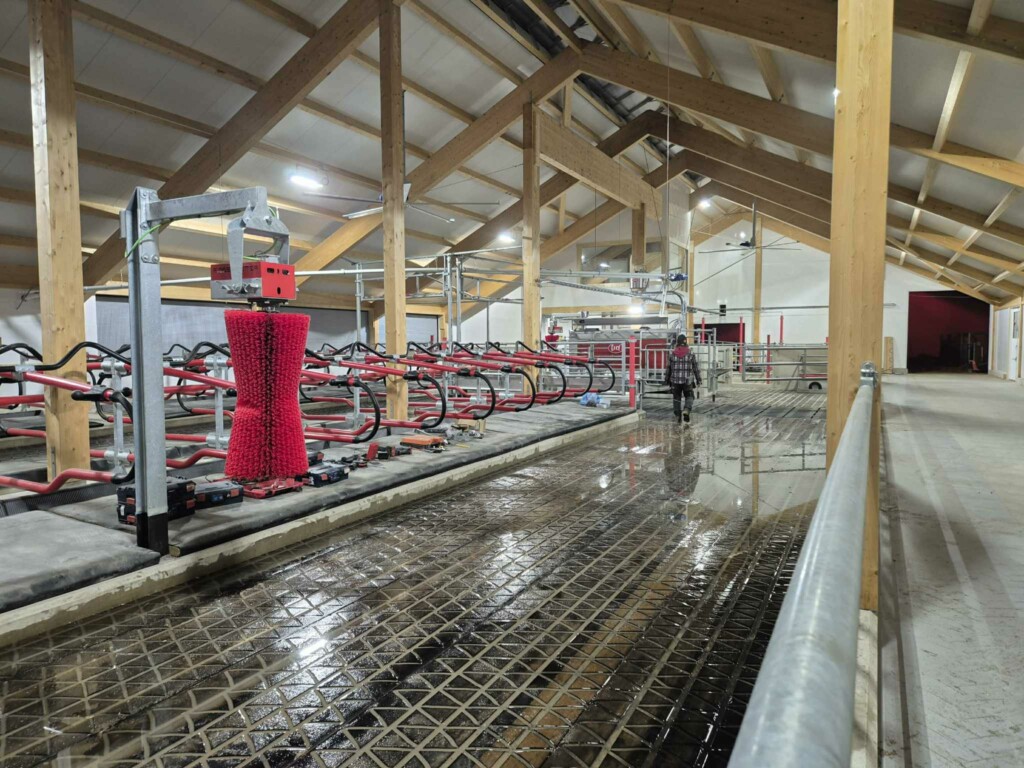 Zig Zag gummi fra og Kraiburg Agri spaltegummi, i tillegg til Suding Digofloor betongspalter. Kubørster fra Agricow World. Magne Landrø og May Rita Olsen. Lensvik, desember 2025.