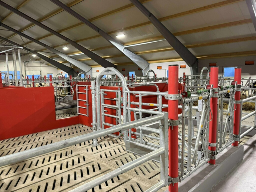 Bjørnar Bjerkreim, Legå i Øvre Hetland. Egersund, desember 2025