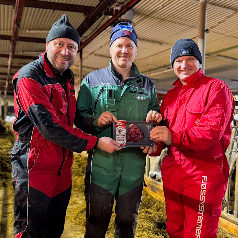 Kjetil Olsen, Tore Krogsveen og Kjetil Lien. Kvitfjell 2025