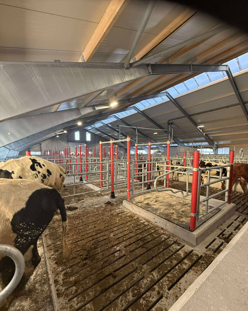 Håkon og Annelise Holmebakken, Kleppe 2026