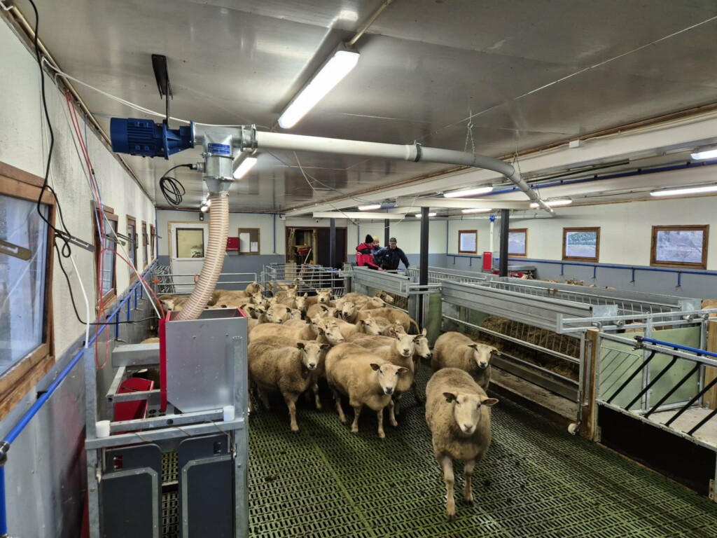 Storbingeløsning. Finn Mo, Lærdal 2026