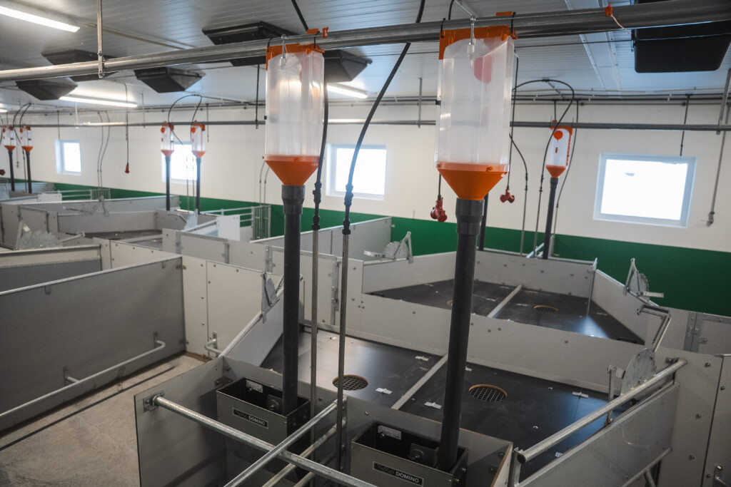 Tørrfôringsanlegg til gris i FT-30 binge hos Solveig og Svein Roar Nygaard. Lena, 2026