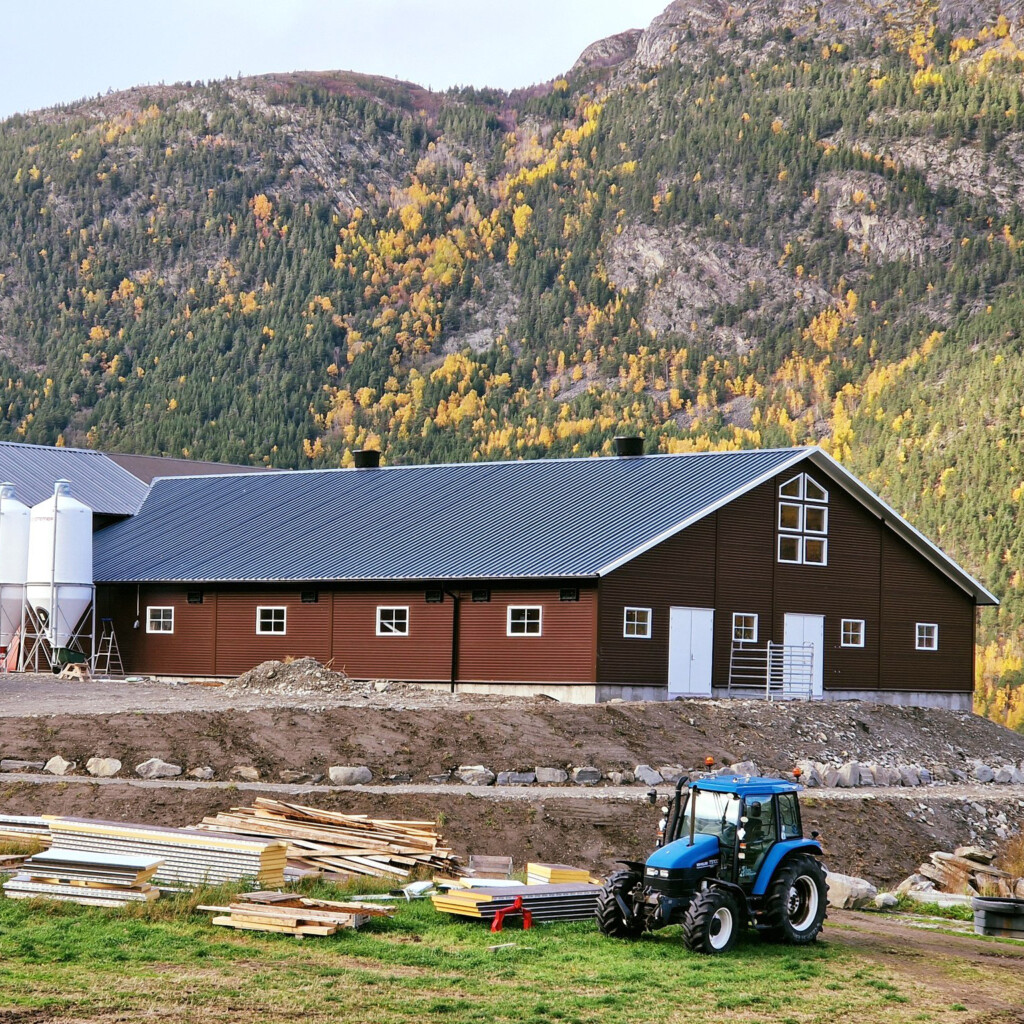 Ola Nesset, Tessanden 2025